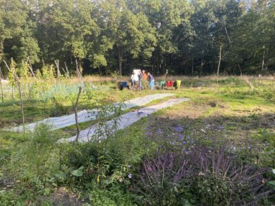 Cursus in de tuin